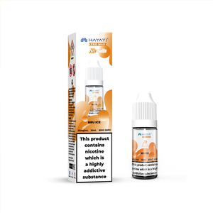 HAYATI PRO MAX NIC SALTS - BRUE ICE 10ml