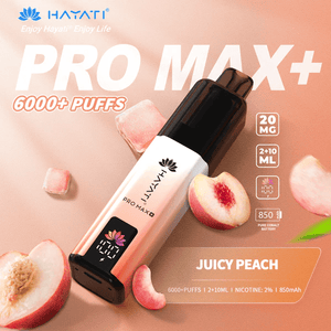 Hayati Pro Max+ 6000 Puffs Prefilled And Rechargeable Pod Kit