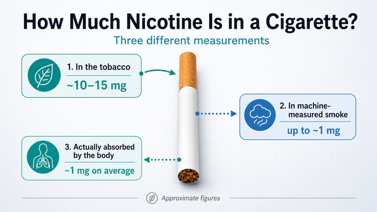 How Much Nicotine in a Cigarette