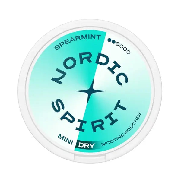 Nordic Spirit Pouches Spearmint Dry Regular