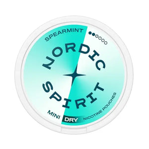 Nordic Spirit Pouches Spearmint Dry Regular